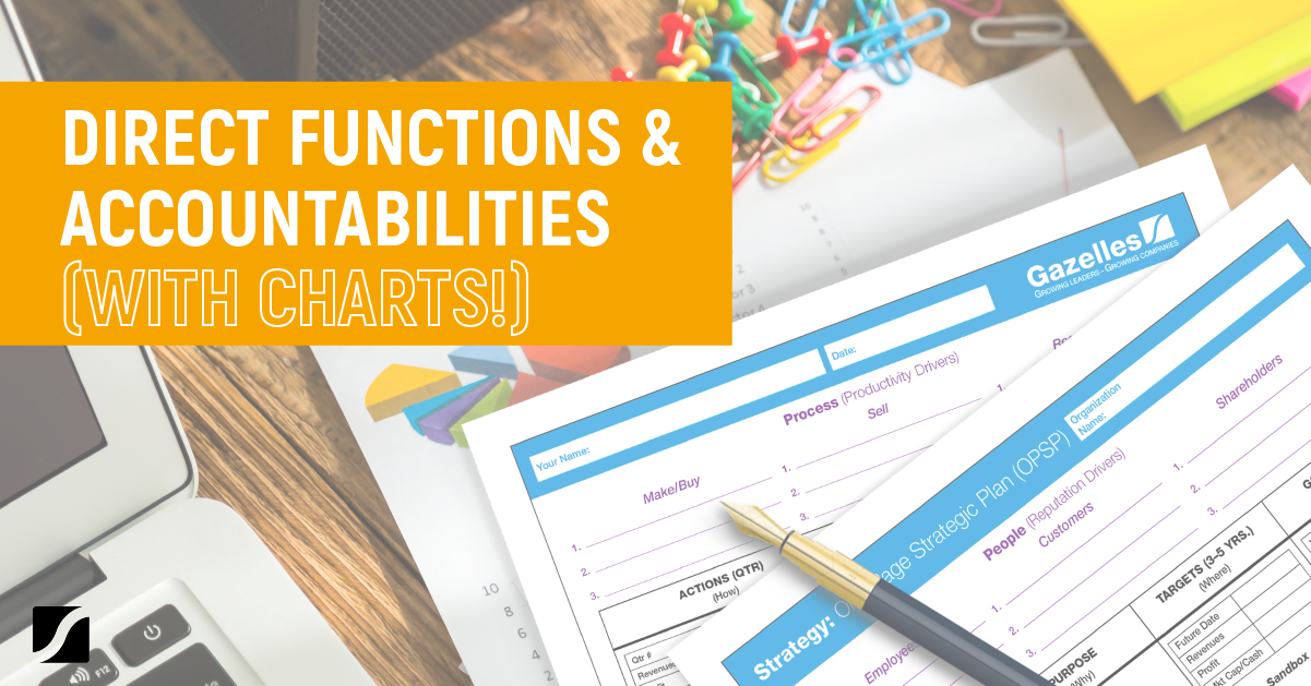 how-to-direct-functions-accountabilities-in-your-business-with-charts